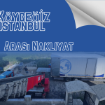 Köyceğiz İstanbul Arası Nakliyat